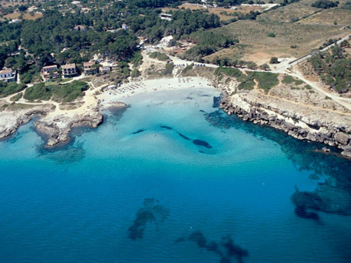 Villa Can Pau, Pool And Garden Close To The Beach Порто де Алькудиа Экстерьер фото